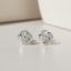 Picture of Earring Studs silver